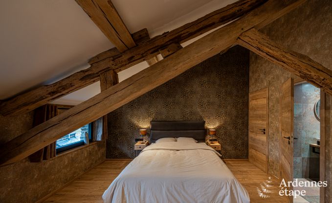 Spacious and comfortable holiday home in Bouillon, Ardennes