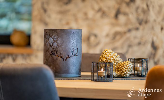 Spacious and comfortable holiday home in Bouillon, Ardennes