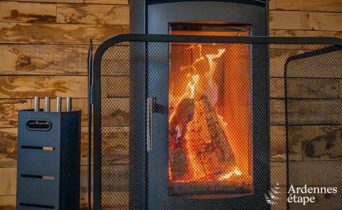 Spacious and comfortable holiday home in Bouillon, Ardennes