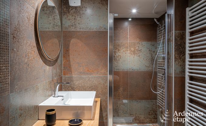 Spacious and comfortable holiday home in Bouillon, Ardennes