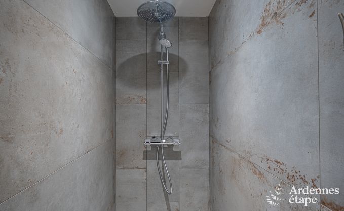 Spacious and comfortable holiday home in Bouillon, Ardennes