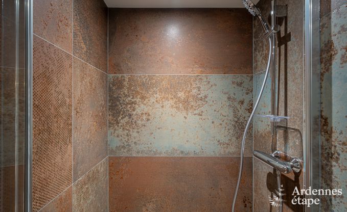 Spacious and comfortable holiday home in Bouillon, Ardennes