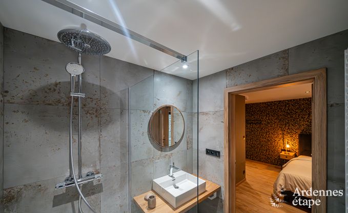 Spacious and comfortable holiday home in Bouillon, Ardennes