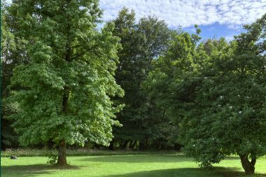 From former café to holiday home for 8 people in Bouillon: authentic charm and modern comfort