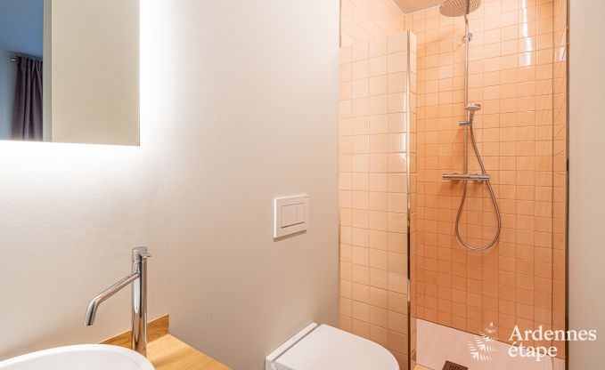 Luxury villa in Bouillon for 15 persons in the Ardennes