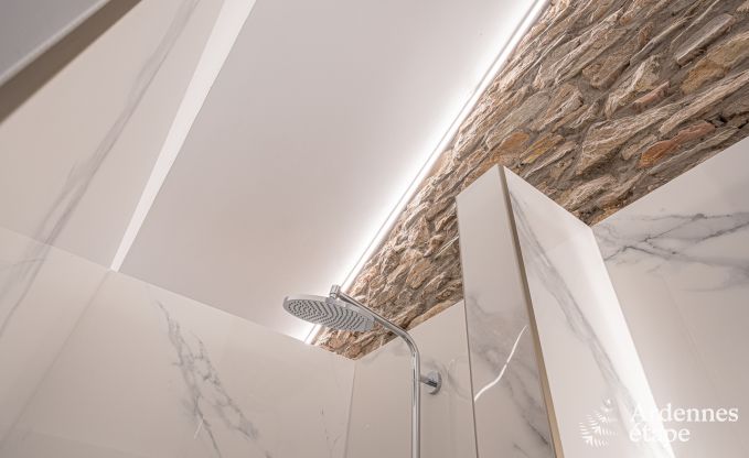 Luxury villa in Bouillon for 15 persons in the Ardennes