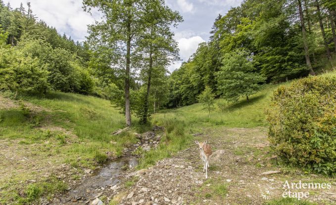 Luxury villa in Bouillon for 20 persons in the Ardennes