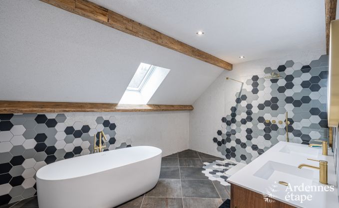 Luxury chalet in Brognon for 20 people with heated outdoor pool, outdoor jacuzzi and sauna on the lake