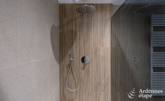 Luxury chalet in Brognon for 20 people with heated outdoor pool, outdoor jacuzzi and sauna on the lake