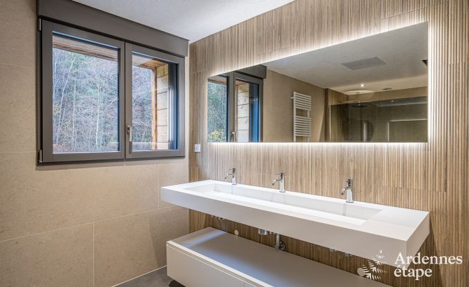 Luxury chalet in Brognon for 20 people with heated outdoor pool, outdoor jacuzzi and sauna on the lake