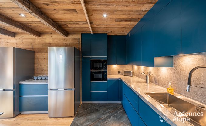 Luxury chalet in Brognon for 20 people with heated outdoor pool, outdoor jacuzzi and sauna on the lake