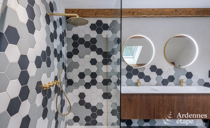 Luxury chalet in Brognon for 20 people with heated outdoor pool, outdoor jacuzzi and sauna on the lake