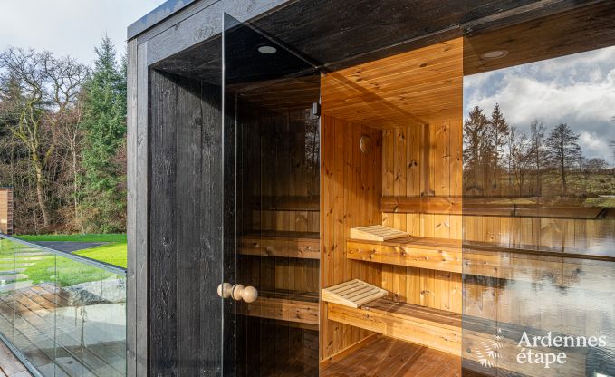 Luxury chalet in Brognon for 20 people with heated outdoor pool, outdoor jacuzzi and sauna on the lake