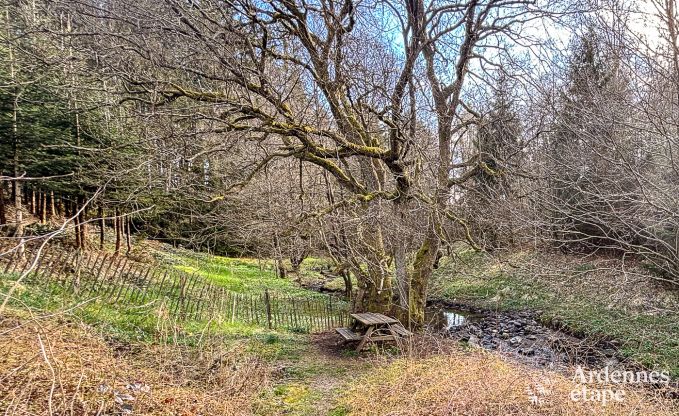Holiday cottage in Butgenbach for 12 persons in the Ardennes