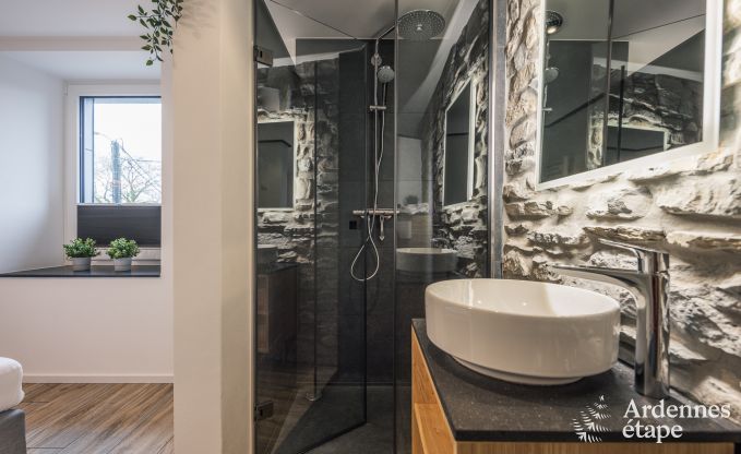 Exceptional stay in a luxury villa in Butgenbach: 18 people, indoor pool, sauna, in the heart of the Ardennes