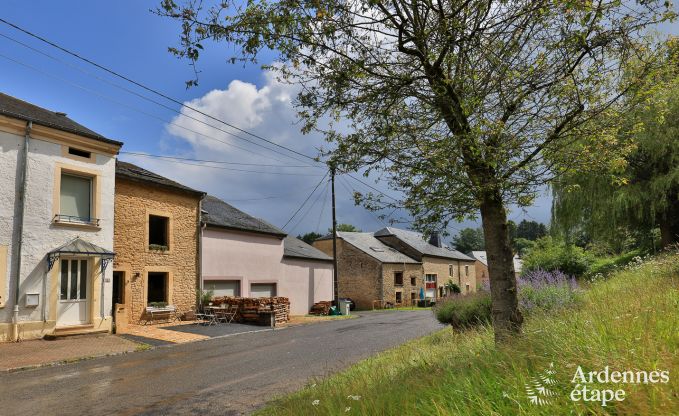 Holiday house in the Ardennes (Chassepierre) for 4-6 persons