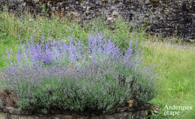 Holiday cottage in Chassepierre for 4/6 persons in the Ardennes