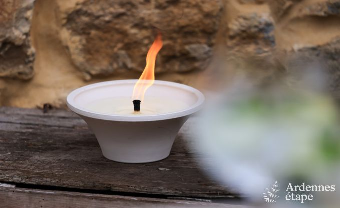 Holiday cottage in Chassepierre for 4/6 persons in the Ardennes