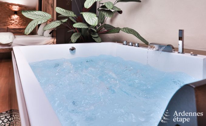 Holiday cottage in Chassepierre for 4/6 persons in the Ardennes