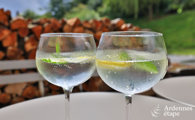 Holiday cottage in Chassepierre for 4/6 persons in the Ardennes