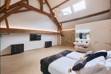 Spacious loft for 24 people in Chaudfontaine with 10 bedrooms, wellness with sauna and jacuzzi and private terrace