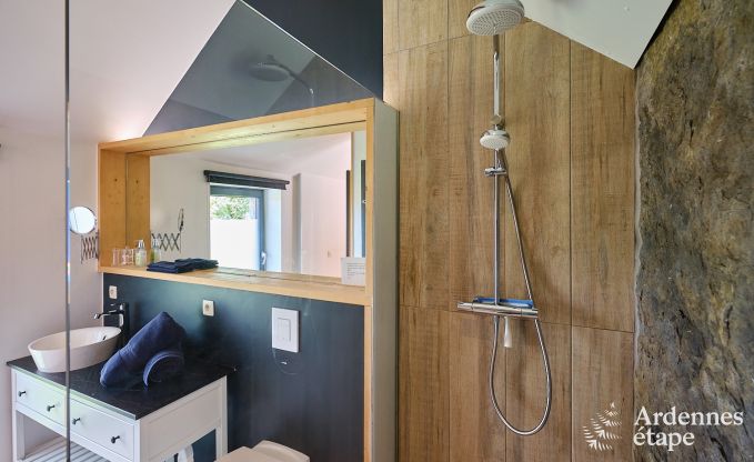 Luxurious holiday home for 4 people with swimming pool, sauna and jacuzzi in Ciney