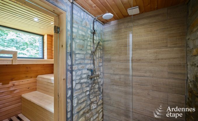 Luxurious holiday home for 4 people with swimming pool, sauna and jacuzzi in Ciney