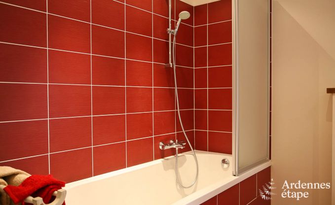 Cozy holiday home for 4 people in Ciney with private garden and wood stove