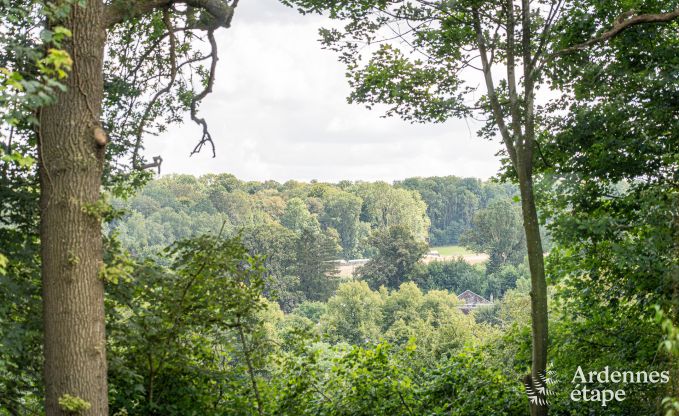 Holiday cottage in Clavier for 12 persons in the Ardennes