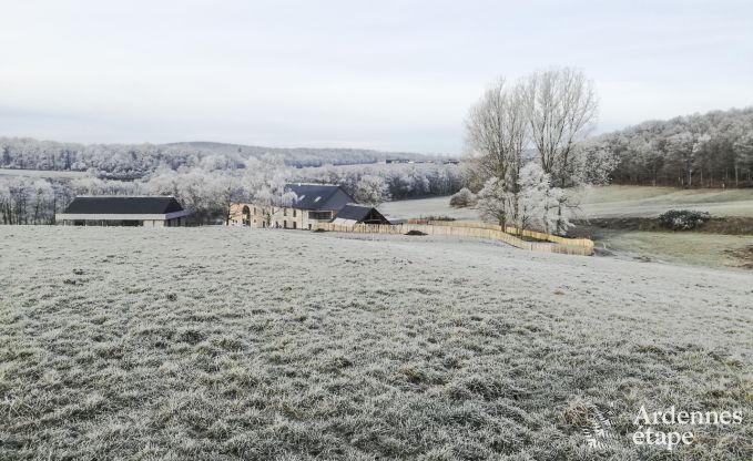 Charming holiday home for 18 people in Couvin (Ardennes)