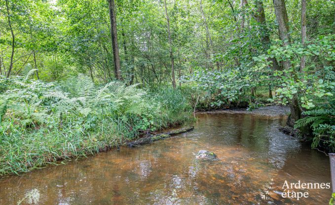 Holiday home with swimming pool and fishing pond in Couvin, Ardennes