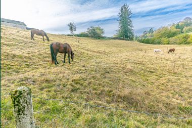 Holiday cottage in Daverdisse for 8/9 persons in the Ardennes