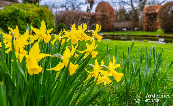 Holiday cottage in Daverdisse for 9 persons in the Ardennes