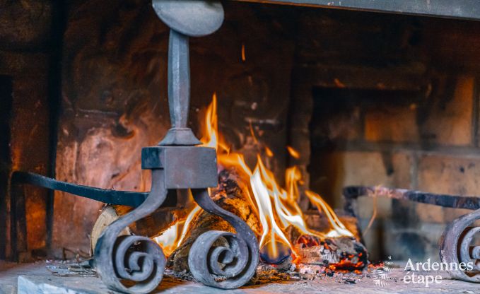 Holiday cottage in Daverdisse for 9 persons in the Ardennes