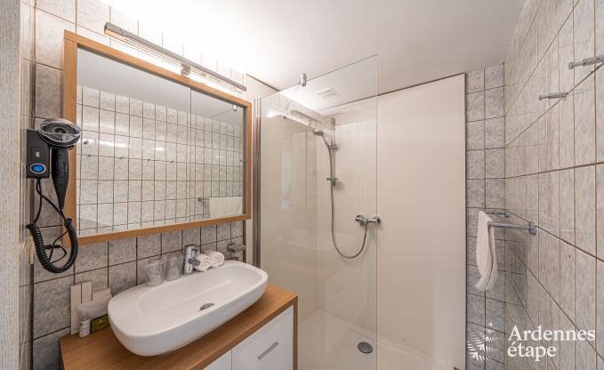 Holiday cottage in Dinant for 20 persons in the Ardennes