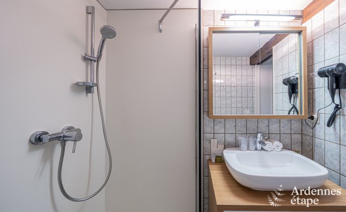 Holiday cottage in Dinant for 20 persons in the Ardennes