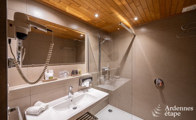 Holiday cottage in Dinant for 20 persons in the Ardennes