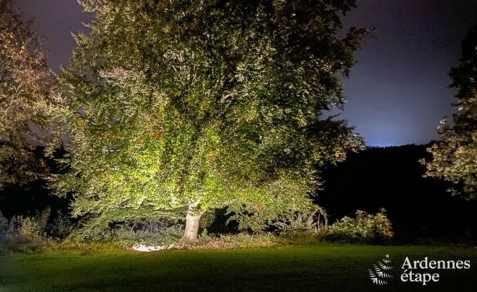 Spacious holiday home with swimming pool in Dinant, Ardennes