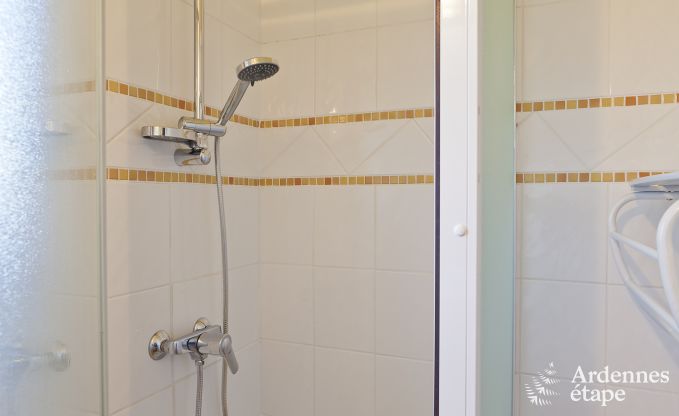 Luxury villa in Durbuy (Heyd) for 12 persons in the Ardennes