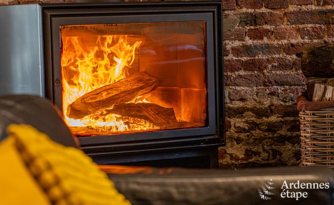 Holiday home in Drubuy (M�an), Ardennes, 7 bedrooms, 3 bathrooms, 19 people, private garden, children's and leisure facilities