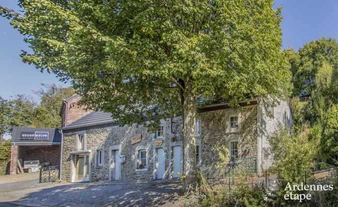 3-star holiday home for 11 people in Durbuy