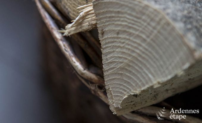 Chalet in Durbuy for 8 persons in the Ardennes