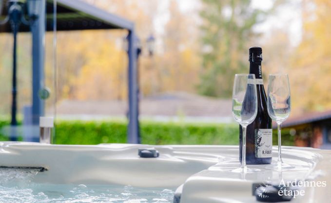 Spacious holiday home near Durbuy for 9 people with covered jacuzzi, fenced garden, and play area