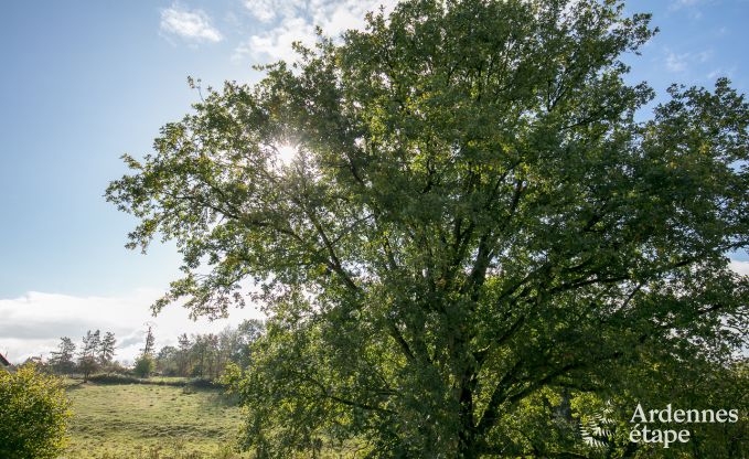 Holiday cottage in Durbuy for 8 persons in the Ardennes