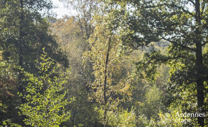 Luxury villa in Durbuy for 9 persons in the Ardennes