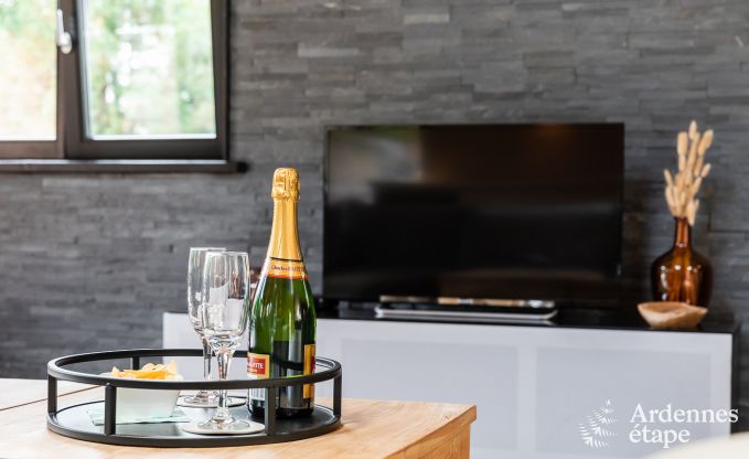 Chalet in Durbuy with sauna and football for 8 persons in the Ardennes