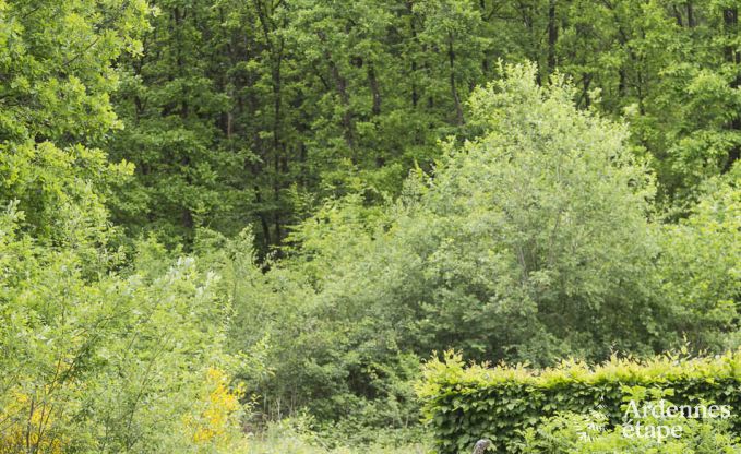 Chalet in Durbuy for 8 persons in the Ardennes