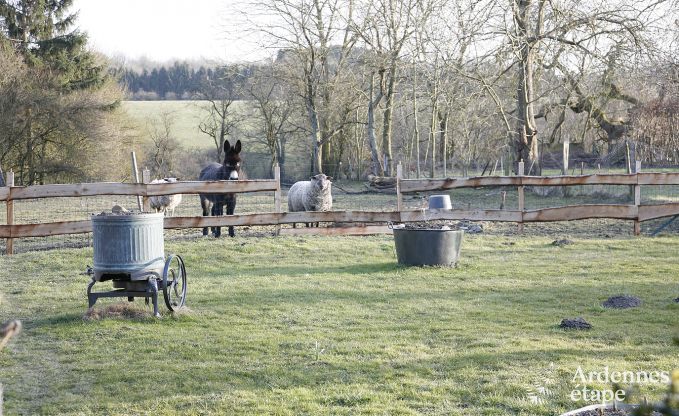 Holiday cottage in Durbuy for 9 persons in the Ardennes