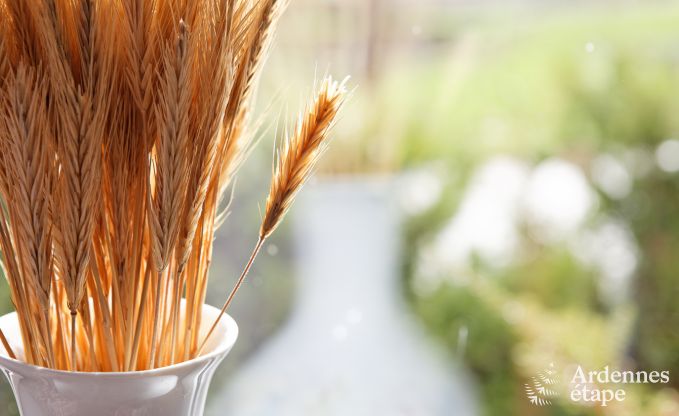 Spacious holiday home in Durbuy: 26 people, 9 bedrooms, heart of the Ardennes