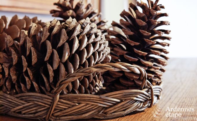 Spacious holiday home in Durbuy: 26 people, 9 bedrooms, heart of the Ardennes